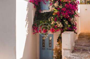 The City Where The Houses are Decorated With Flowers